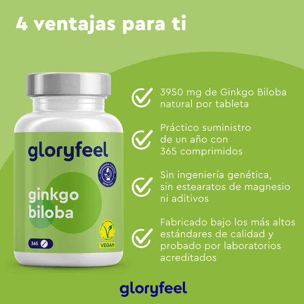 El Ginkgo Biloba de GloryFeel GmbH (España) es un producto básico en la medicina tradicional china, con 3950 mg por comprimido disponibles durante todo el año. Garantiza una alta calidad con certificación vegana, sin ingeniería genética y sin aditivos.