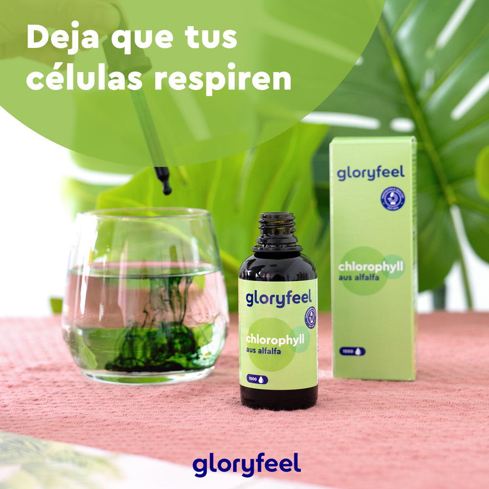 Una botella de Clorofila Gotas de GloryFeel GmbH España junto a un vaso con líquido verde, una caja y una hoja con el texto en español: &quot;Deja que tus células respiren&quot;. Descubre el poder de las gotas de clorofila con esencia de alfalfa.