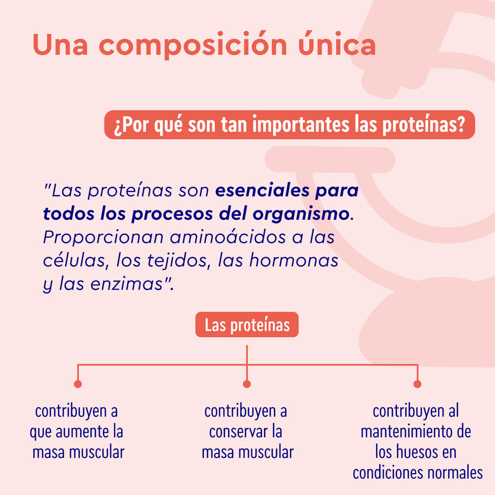 Descubre la importancia de las proteínas con Proteina Berry Joy - Sabor de fresa de gloryfeel GmbH España, destacando su papel en los procesos esenciales del organismo, el aumento y mantenimiento de la masa muscular y la salud ósea.