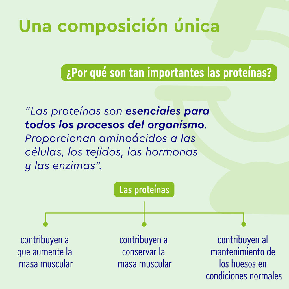 Infografía titulada &quot;Una composición única&quot; de gloryfeel GmbH España, que presenta Proteina Nougat Love y detalla el papel vital de las proteínas en la masa muscular, el suministro de células y el mantenimiento de enzimas.