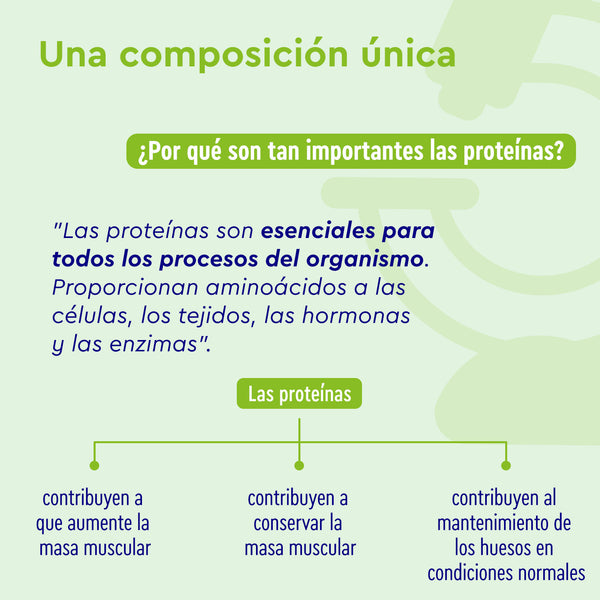 Infografía titulada &quot;Una composición única&quot; de gloryfeel GmbH España, que presenta Proteina Nougat Love y detalla el papel vital de las proteínas en la masa muscular, el suministro de células y el mantenimiento de enzimas.