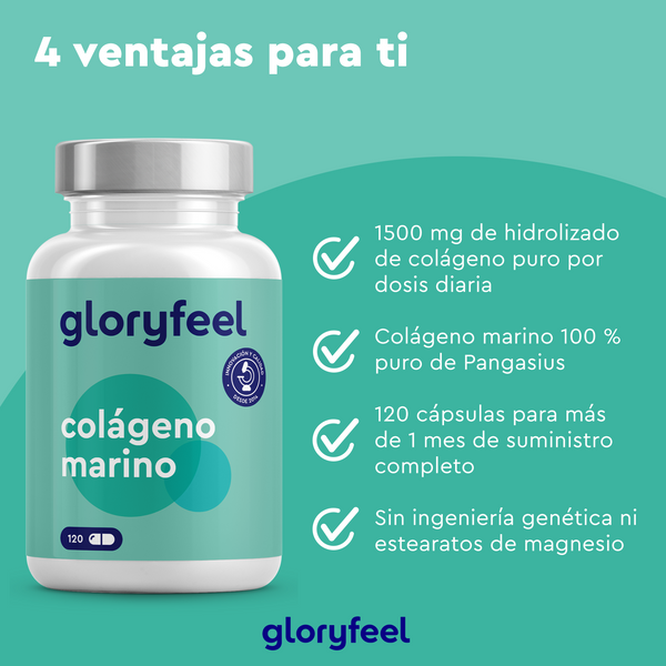 El “Colageno Marino Hidrolizado” de GloryFeel se destaca por sus características: 1500 mg de péptidos de colágeno por dosis, 120 cápsulas y una fórmula libre de ingeniería genética y estearatos de magnesio.