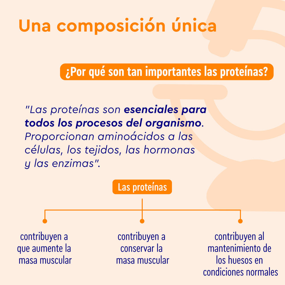 Proteina Cinnamon Love de Gloryfeel GmbH Spain es esencial para los procesos corporales, incluyendo el crecimiento muscular y el mantenimiento de los huesos.