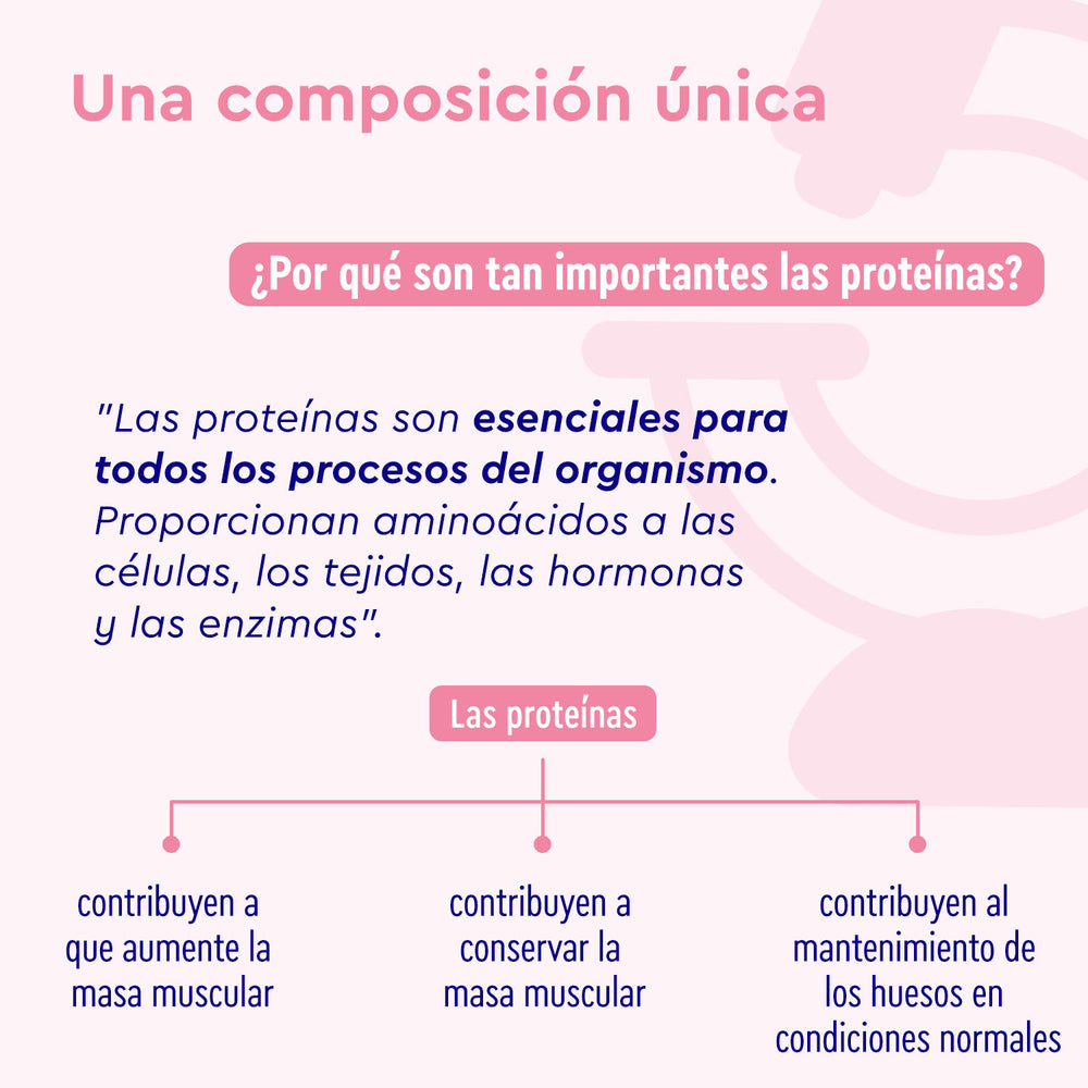 La infografía &quot;Una composición única&quot; de Gloryfeel GmbH España destaca el papel de las proteínas, como las de Proteina Berry Joy - Sabor a frambuesa, en los procesos corporales y el mantenimiento de la masa muscular, mediante texto y diagramas.