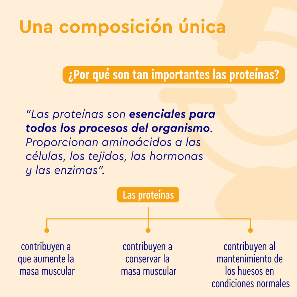 Una infografía titulada &quot;Una composición única&quot; para Proteina Vanilla Joy de gloryfeel GmbH España destaca el papel crucial de las proteínas en el aumento de la masa muscular, el mantenimiento de huesos sanos y el suministro de aminoácidos esenciales para las funciones celulares y enzimáticas.