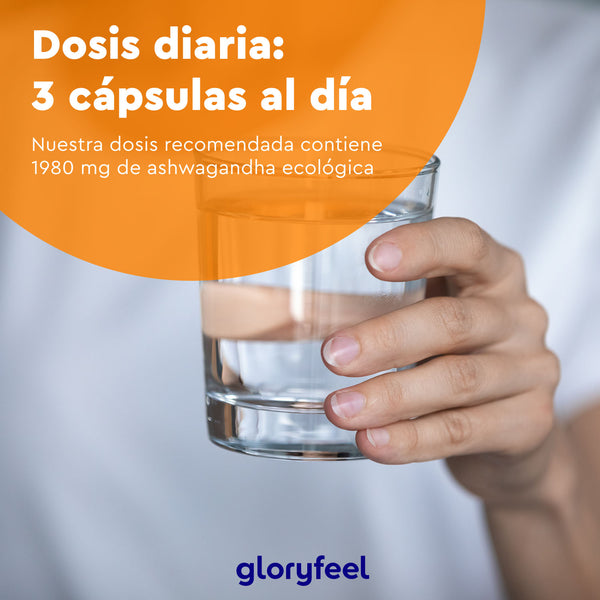 Una mano sostiene agua con texto naranja superpuesto, destacando una dosis diaria de 1980 mg de ashwagandha ecológica en cápsulas, con raíces ayurvédicas. El logotipo de GloryFeel se encuentra en la parte inferior.