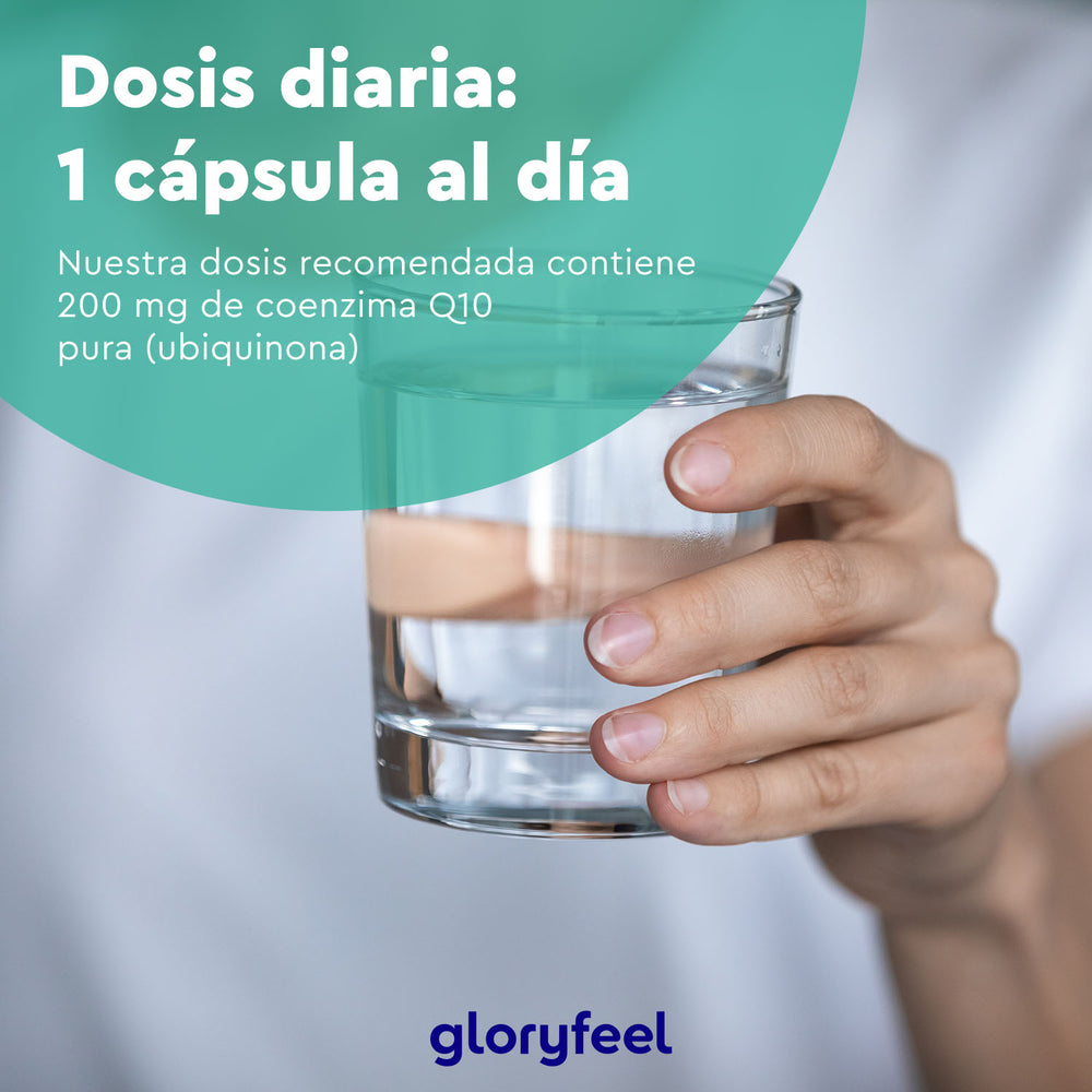 Una mano sostiene un vaso de agua con el texto en español: &quot;Dosis diaria: 1 cápsula al día&quot;. Nuestro suplemento recomendado, Coenzima Q10 de GloryFeel, contiene 200 mg de coenzima Q10 pura (ubiquinona).