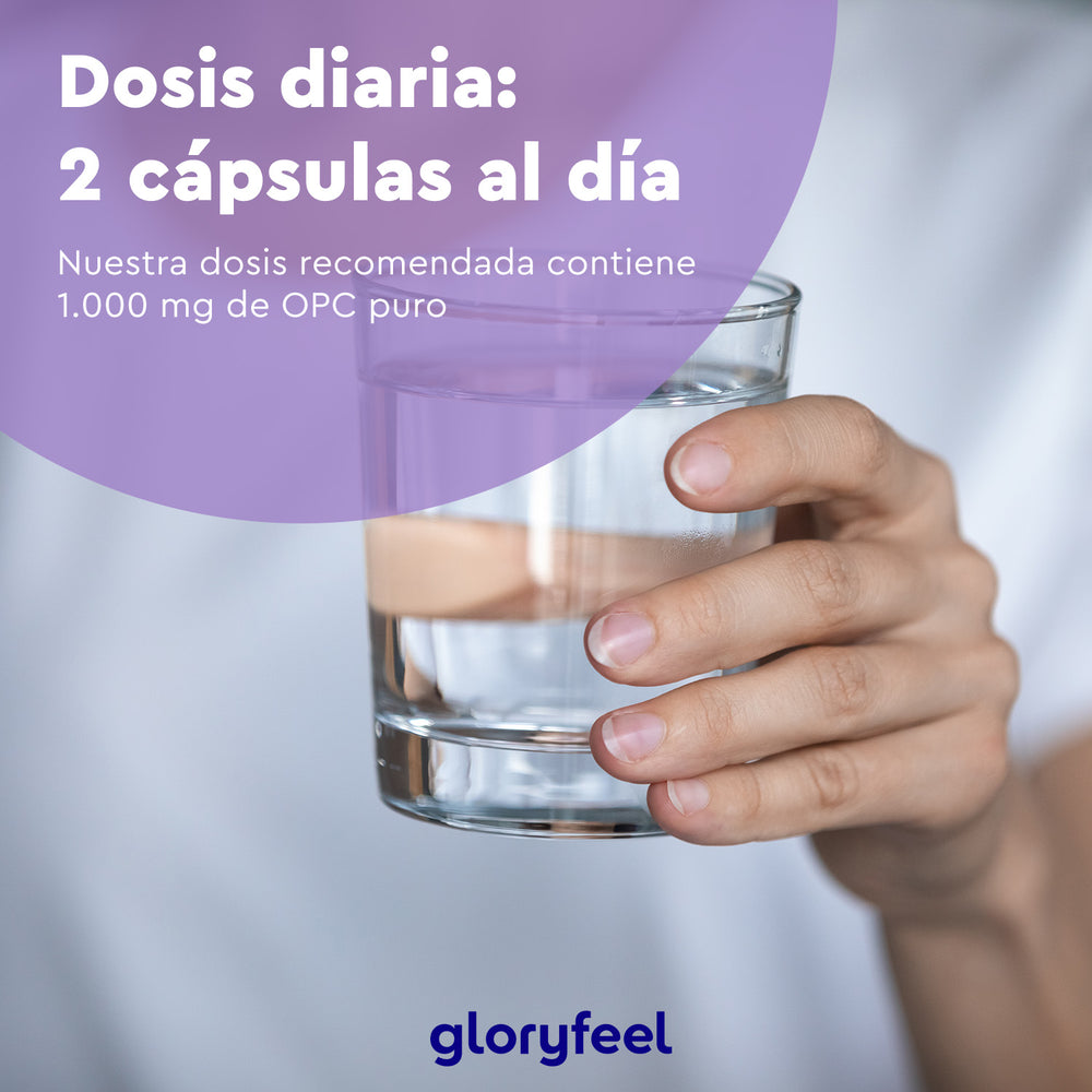 Una mano sostiene un vaso de agua con un texto superpuesto en español sobre la toma de 2 cápsulas diarias, cada una con 1000 mg de OPC puro del &quot;OPC Extracto de semilla de uva 360 cápsulas&quot; de Gloryfeel GmbH, enriquecido con antioxidantes.