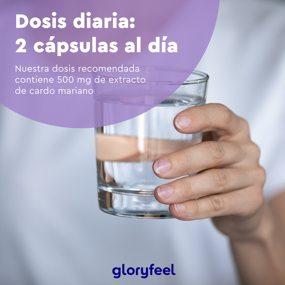 Una mano sostiene un vaso de agua con la leyenda &quot;Dosis diaria: 2 cápsulas. Cada dosis recomendada incluye 500 mg de extracto de cardo mariano, conocido por su efecto beneficioso para el hígado gracias a la silimarina&quot;. Logotipo: GloryFeel GmbH España. Producto: Cardo mariano en cápsulas.