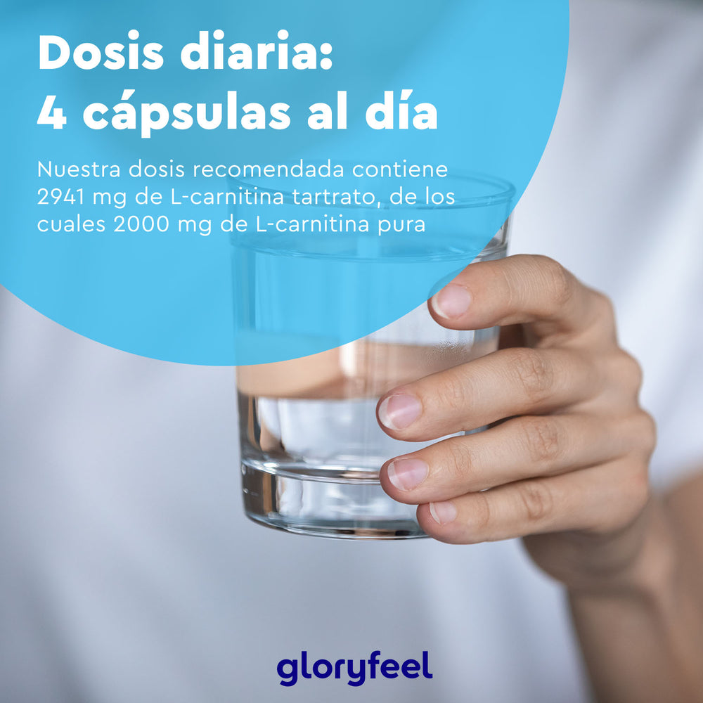 Una mano sostiene un vaso de agua, destacando la L-Carnitina 2000 mg de Gloryfeel GmbH. La recomendación diaria es de cuatro cápsulas con Carnipure de Lonza, que ofrece un apoyo suave y eficaz para tu bienestar.