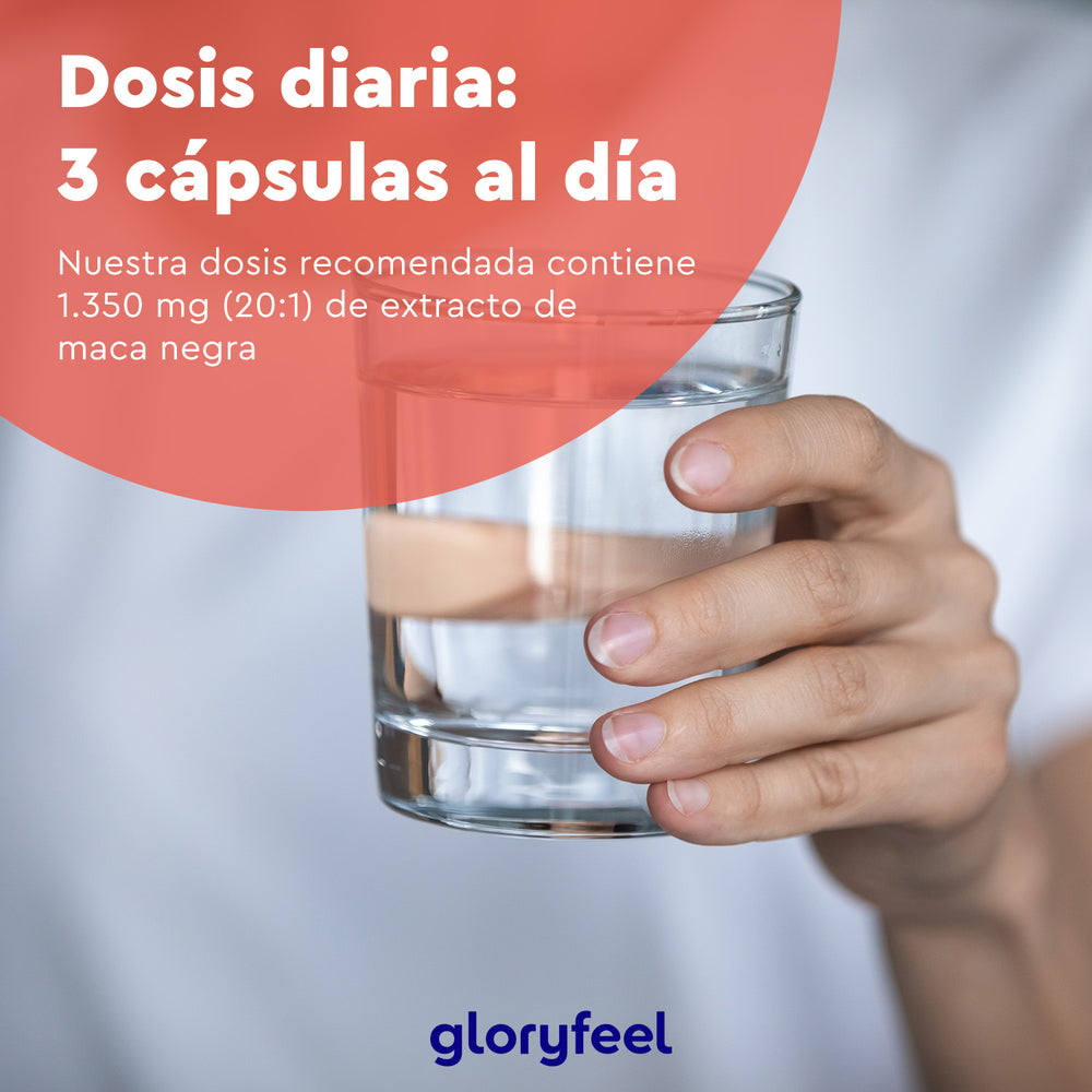 Una mano sosteniendo un vaso de agua. El texto superpuesto en español sugiere una dosis diaria de 3 cápsulas de Maca Negra + L-Arginina, con un total de 1350 mg, con zinc añadido. El logotipo de &quot;GloryFeel GmbH España&quot; aparece en la parte inferior.