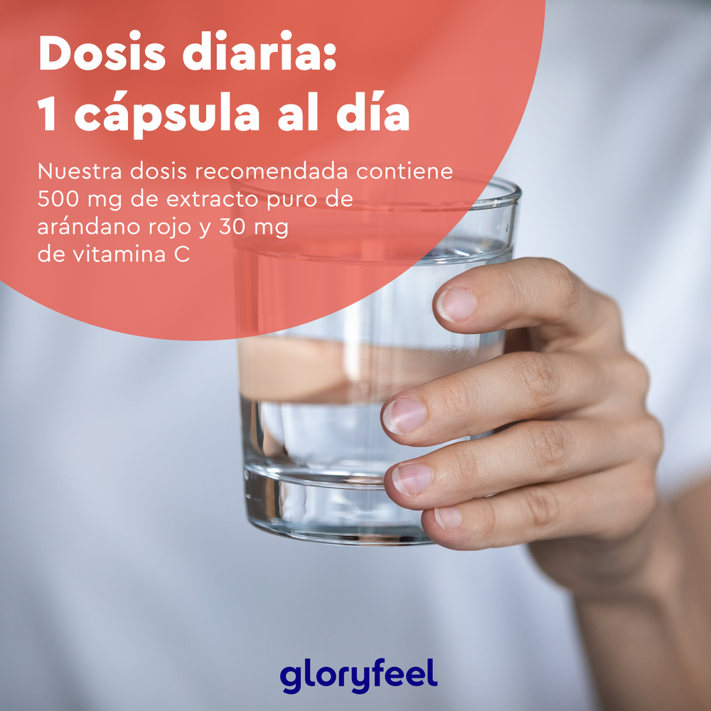 Una mano sostiene un vaso de agua junto a un texto en español sobre la dosis diaria de Arándano Rojo + Vitamina C, destacando sus beneficios para prevenir infecciones urinarias. Presenta la marca &quot;Gloryfeel GmbH&quot;.