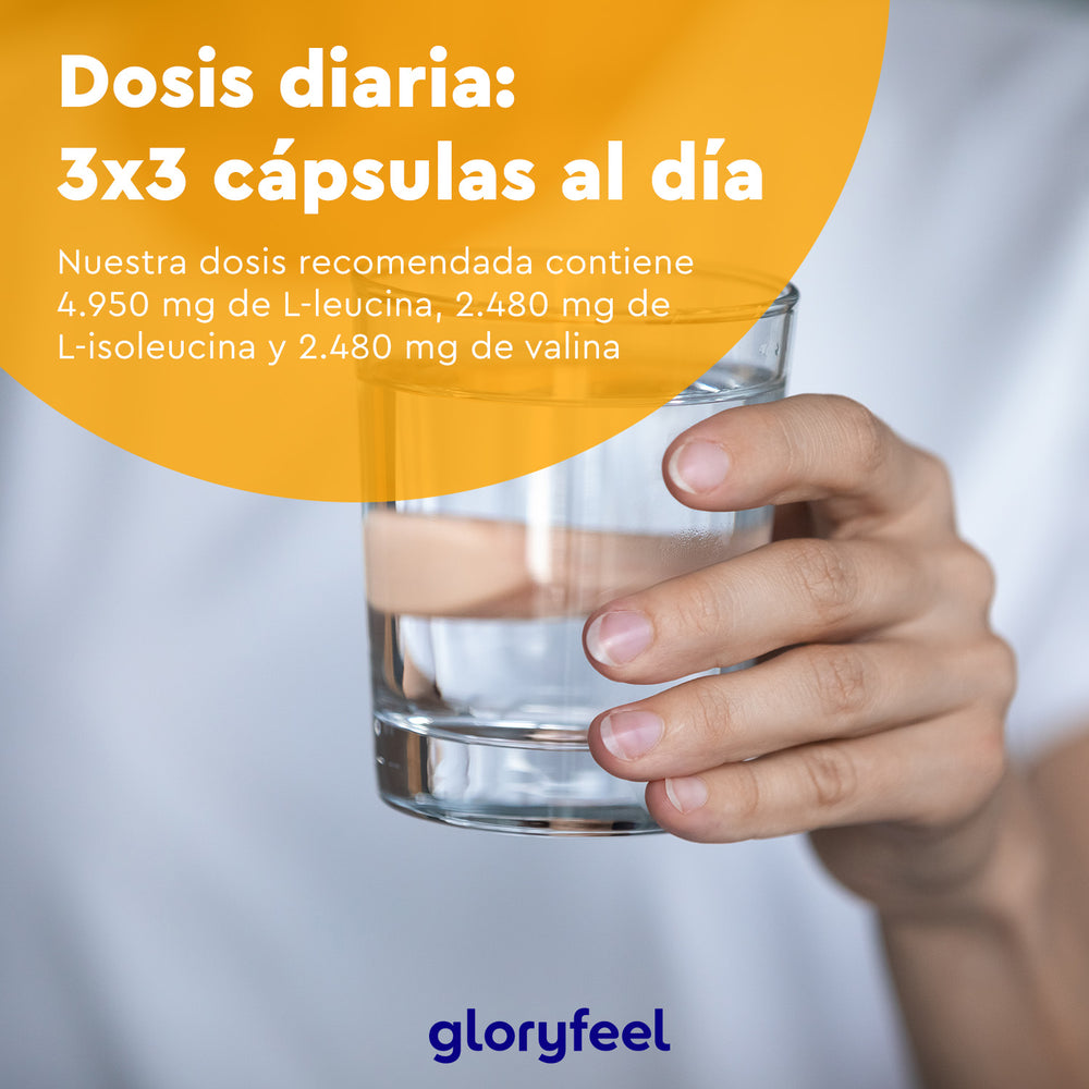 Una mano sostiene un vaso de agua junto a un texto que recomienda una dosis diaria: 3 cápsulas de BCAA de GloryFeel GmbH España aportan 4950 mg de leucina, 2480 mg de L-isoleucina y 2480 mg de L-valina. Estos aminoácidos esenciales crean una mezcla eficaz de BCAA para una salud óptima.