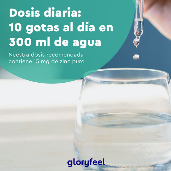 Una mano sostiene un gotero sobre un vaso de agua. El texto indica la dosis diaria: 10 gotas en 300 ml de agua, que contienen 15 mg de zinc puro para favorecer el metabolismo proteico. En la parte inferior aparece &quot;GloryFeel GmbH Spain Zinc en gotas&quot;.
