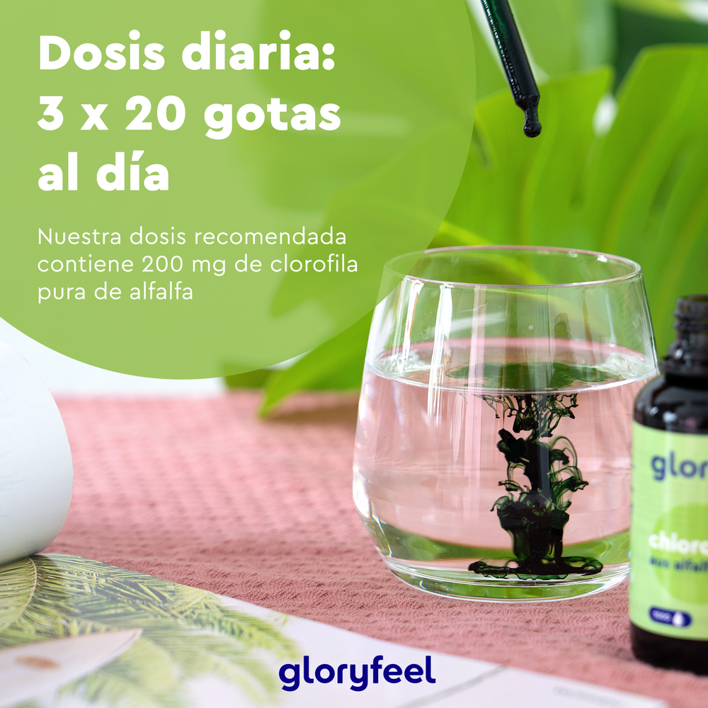 Botella de Clorofila Gotas de GloryFeel GmbH Spain con cuentagotas liberando esencia en un vaso de agua. Texto promocional en español sobre fondo verde, con plantas tropicales al fondo.
