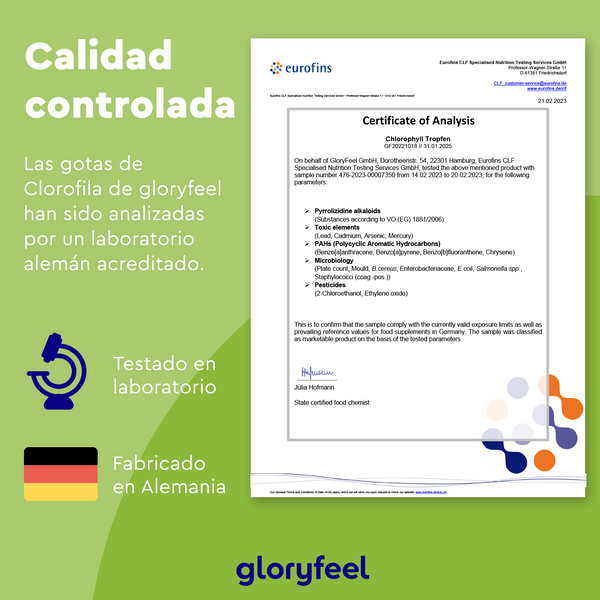 El Certificado de Análisis de Clorofila Gotas de GloryFeel GmbH España resalta las rigurosas pruebas y fabricación alemanas, asegurando la calidad con iconos de laboratorio y fábrica y un análisis especial sobre la alfalfa.