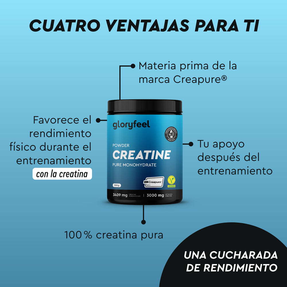 Imagen de un envase de Creatina en polvo de gloryfeel GmbH España, que muestra beneficios como creatina pura, calidad Creapure®, rendimiento físico mejorado y apoyo post-entrenamiento.