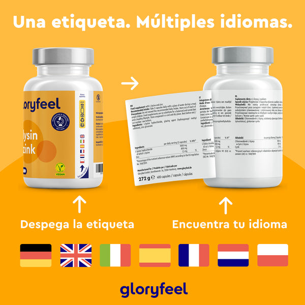 Dos frascos del suplemento de L-lisina con zinc de Gloryfeel GmbH cuentan con etiquetas despegables multilingües, incluyendo inglés, español y alemán. El envase cuenta con certificaciones veganas y de calidad. Contiene zinc para favorecer naturalmente la salud del sistema inmunitario.