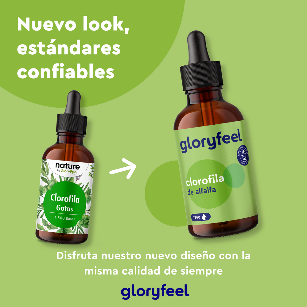 Dos frascos cuentagotas &quot;Clorofila Gotas&quot; de GloryFeel GmbH España presentan diseños nuevos y antiguos. El texto en español destaca una imagen renovada, manteniendo los estándares de calidad, y destacando los beneficios naturales de la alfalfa.