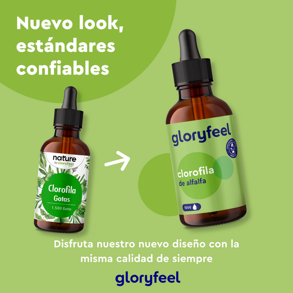 Dos frascos cuentagotas &quot;Clorofila Gotas&quot; de GloryFeel GmbH España presentan diseños nuevos y antiguos. El texto en español destaca una imagen renovada, manteniendo los estándares de calidad, y destacando los beneficios naturales de la alfalfa.