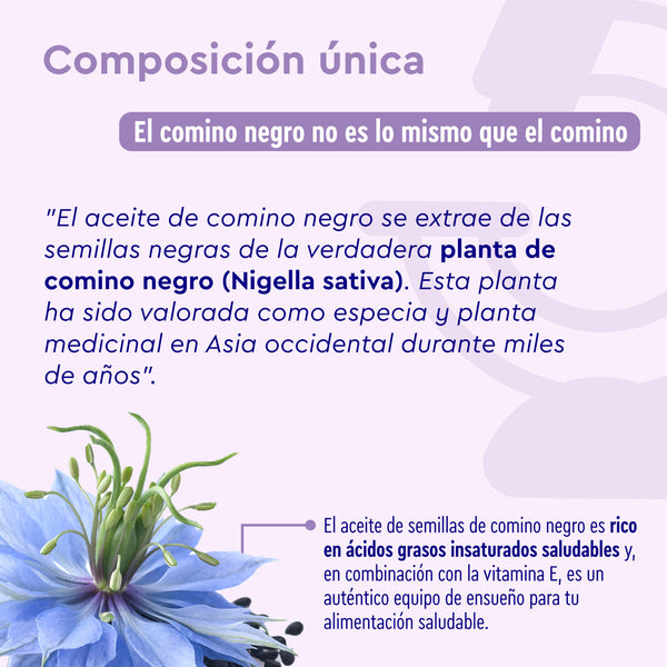 Aceite de comino negro composicion