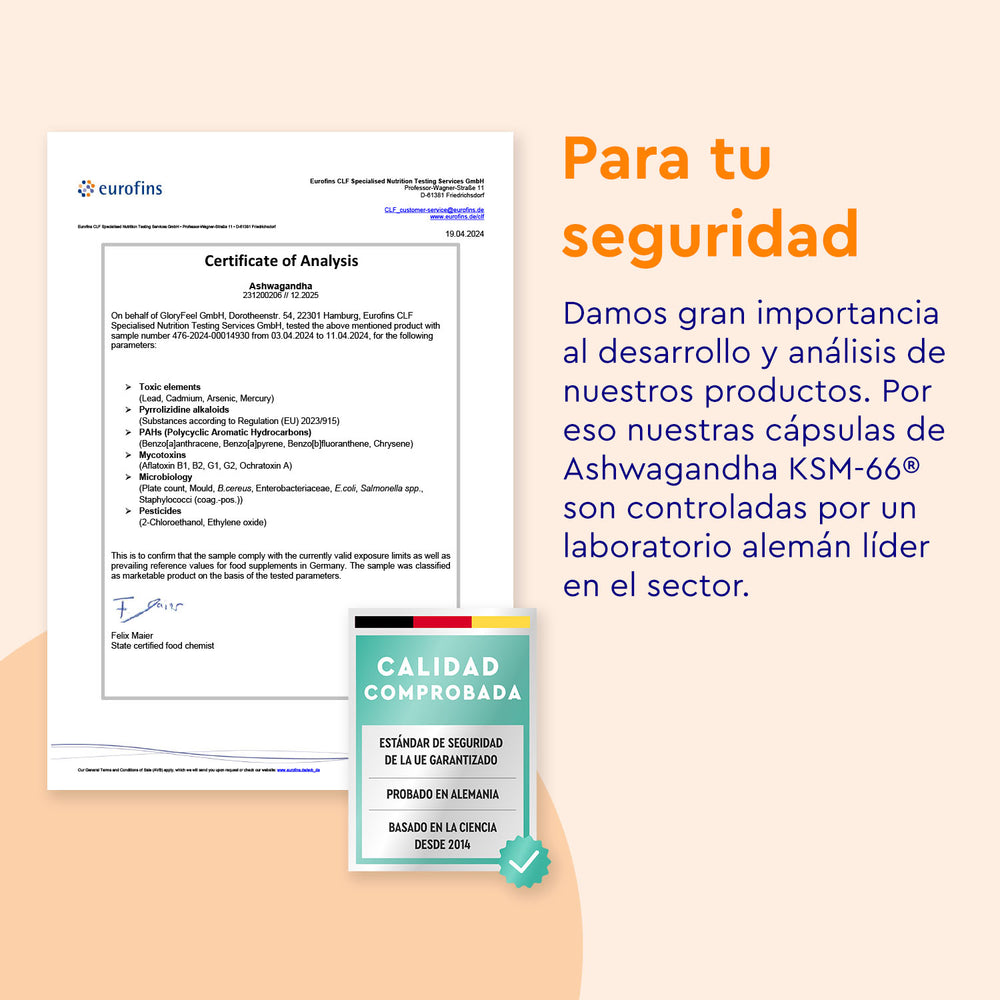 La Ashwagandha KSM-66® de gloryfeel GmbH España incluye un certificado de análisis y diagrama de control de calidad de un laboratorio alemán, enfatizando la seguridad del producto y la garantía de calidad.