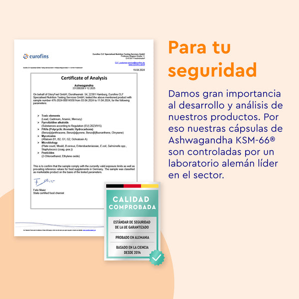 La Ashwagandha KSM-66® de gloryfeel GmbH España incluye un certificado de análisis y diagrama de control de calidad de un laboratorio alemán, enfatizando la seguridad del producto y la garantía de calidad.
