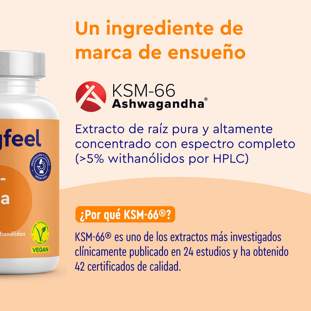 Imagen de un frasco de suplemento dietético en el que se muestra el texto en español que promociona Ashwagandha KSM-66® de gloryfeel GmbH España, destacando su extracto concentrado de raíz, avalado por estudios clínicos y certificaciones.