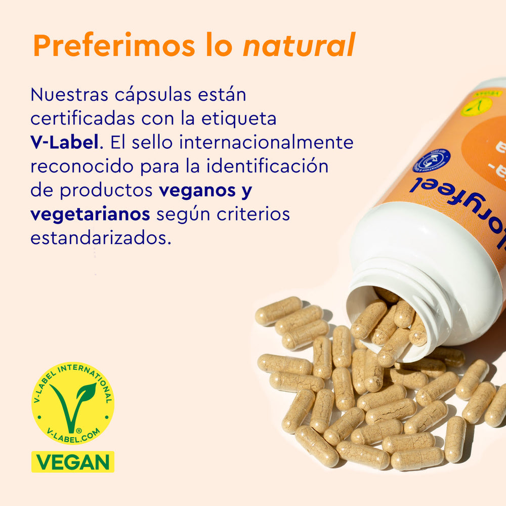 Una botella abierta de Ashwagandha KSM-66® de gloryfeel GmbH (España) muestra cápsulas beige derramándose, con un texto que destaca la certificación V-Label para productos veganos y vegetarianos. La etiqueta V-Label verde y la etiqueta VEGANA son claramente visibles.