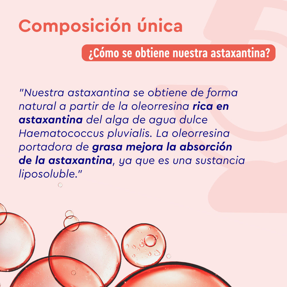 Las burbujas rojas y el texto describen cómo se absorbe la astaxantina del alga Haematococcus pluvialis, presente en Astaxantina + Vitamina E de gloryfeel GmbH España, debido a la grasa de la oleorresina.