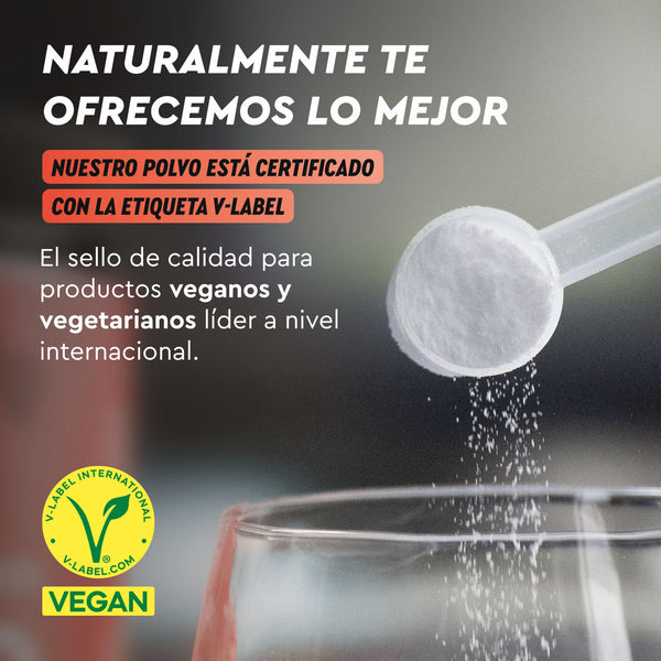 Una cuchara vierte un polvo blanco, mostrando Beta Alanina en polvo de gloryfeel GmbH España. El logotipo V-Label International certifica su calidad vegana y vegetariana.