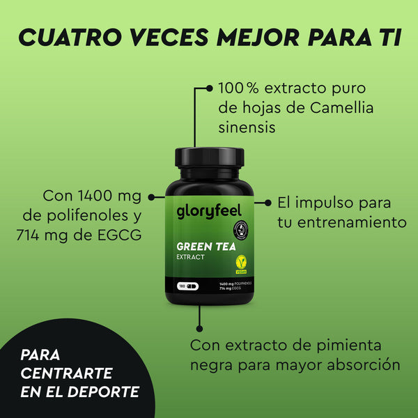 La botella de Extracto de Té Verde de Gloryfeel GmbH España destaca beneficios como Camellia sinensis, polifenoles, EGCG y extracto de pimienta negra en español.