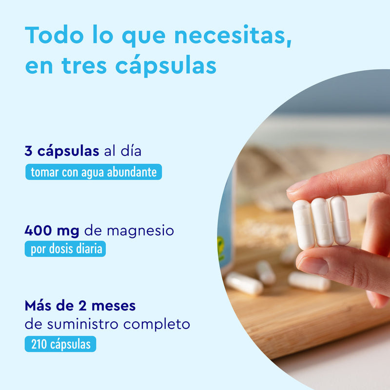 Una persona sostiene tres cápsulas blancas, lo que demuestra la dosis y los beneficios del Dicitrato de Trimagnesio de GloryFeel: tomar 3 cápsulas al día para una dosis de 400 mg. Con alta biodisponibilidad, este suplemento dura más de 2 meses con un total de 210 cápsulas.
