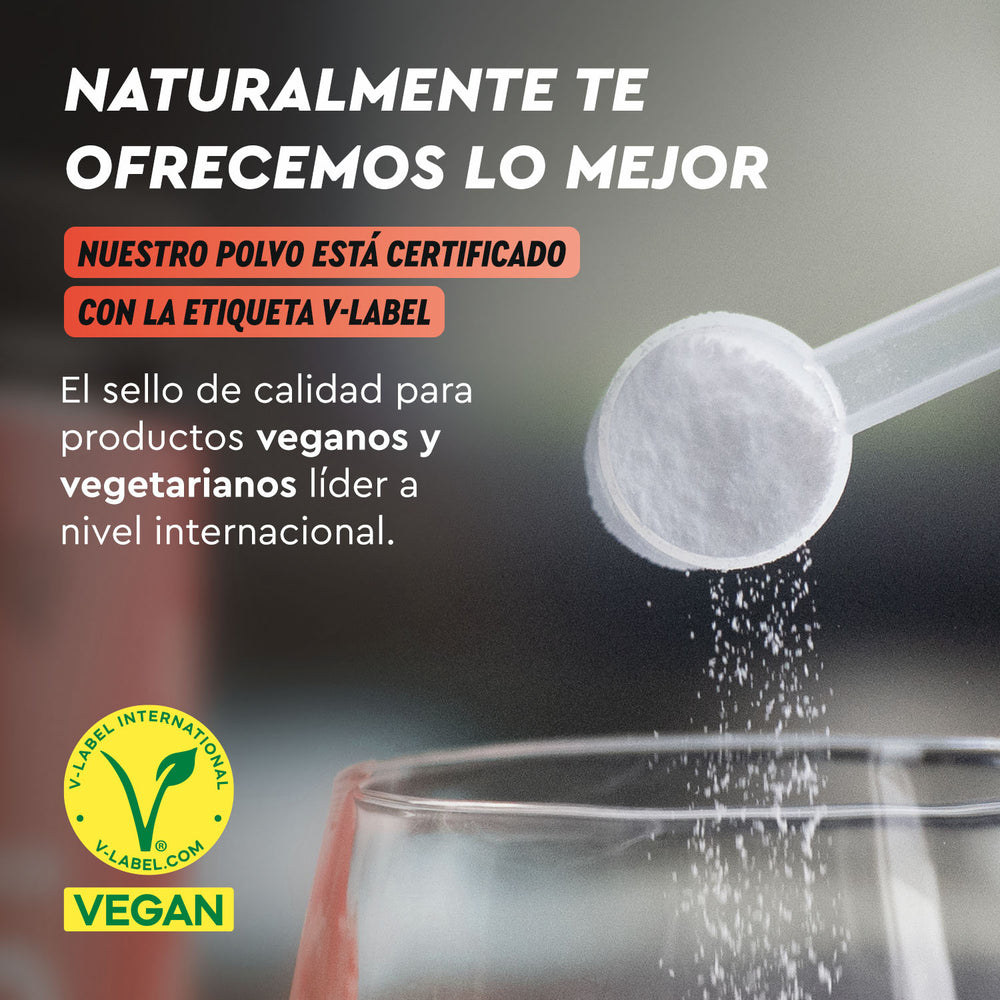 L-citrulina en polvo vegana