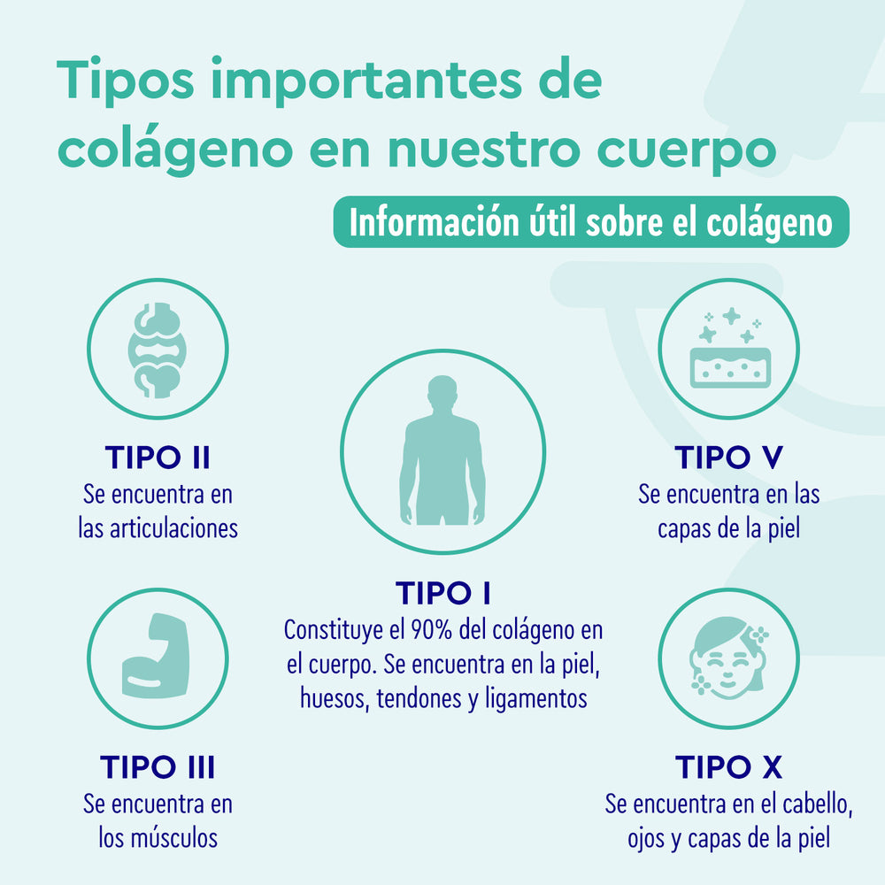 Colageno y Acido ialuronico + Q10 Tipo
