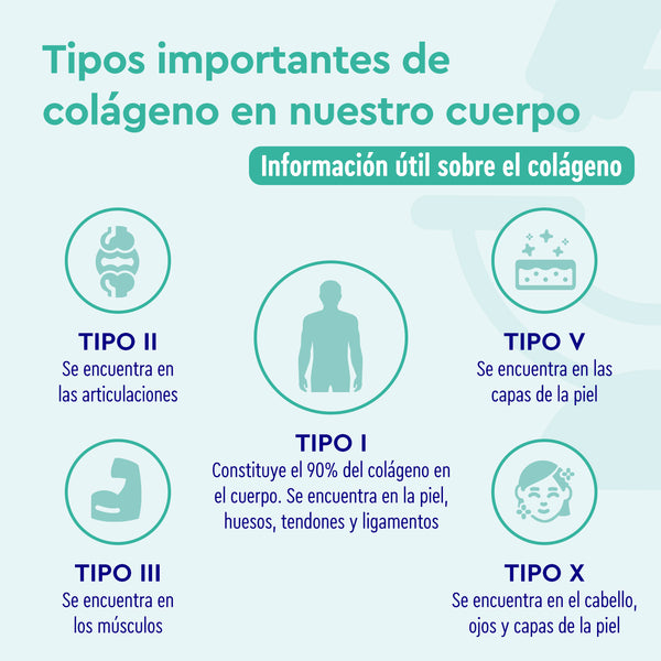 Colageno y Acido ialuronico + Q10 Tipo