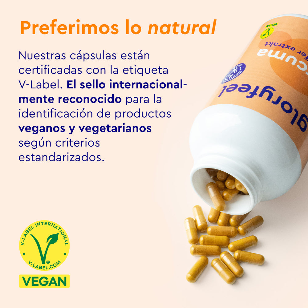 Cúrcuma Intensiva de GloryFeel GmbH España incluye cápsulas derramables de cúrcuma en polvo y cápsula hidroxipropilmetilcelulosa, que cuentan con certificación V-Label para estándares internacionales veganos y vegetarianos.