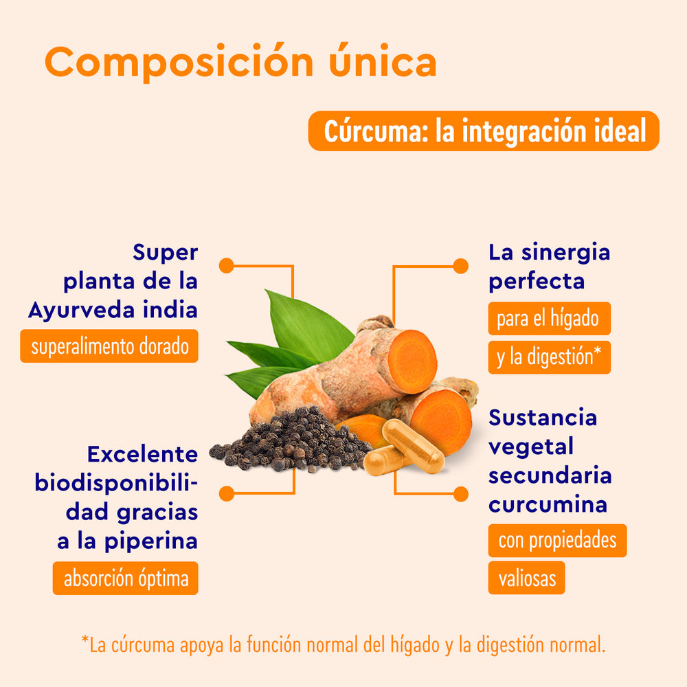 La infografía sobre Cúrcuma Intensiva de GloryFeel GmbH España destaca sus beneficios superiores para el hígado y la digestión. Presenta una excelente biodisponibilidad al combinarse con extracto de pimienta, a menudo encapsulado en cápsulas de hidroxipropilmetilcelulosa.
