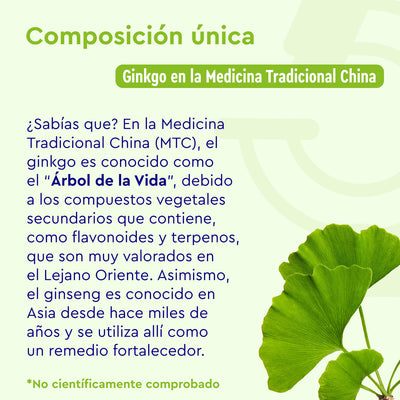 Las Tabletas de Ginkgo Ginseng de gloryfeel GmbH España presentan una ilustración de una hoja de ginkgo con texto en español que destaca su papel en la medicina tradicional china como el «Árbol de la Vida» por sus compuestos únicos. Nota: Las afirmaciones no están verificadas.