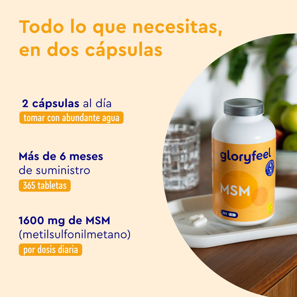 Un frasco de cápsulas de azufre orgánico de MSM de GloryFeel GmbH España se encuentra sobre una mesa junto a un vaso. La etiqueta indica una dosis de 2 cápsulas diarias, con un total de 1600 mg de MSM al día. Cada frasco ofrece un suministro para más de 6 meses (365 comprimidos) para la salud articular y el fomento del colágeno.
