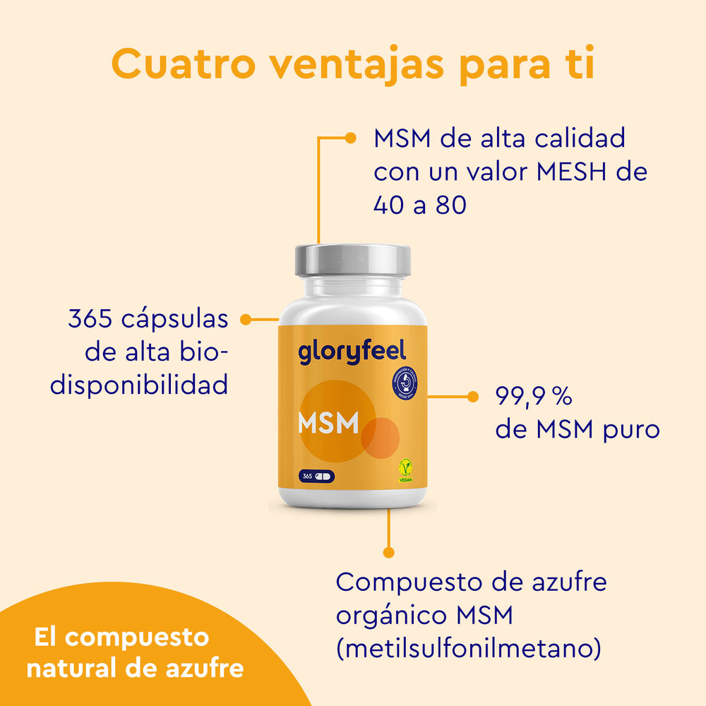 Una imagen en español promociona las cápsulas de azufre orgánico de MSM de GloryFeel GmbH España, un suplemento dietético con MSM y colágeno de alta calidad. Destaca su biodisponibilidad, MSM puro, compuestos orgánicos de azufre y un alto valor MESH.