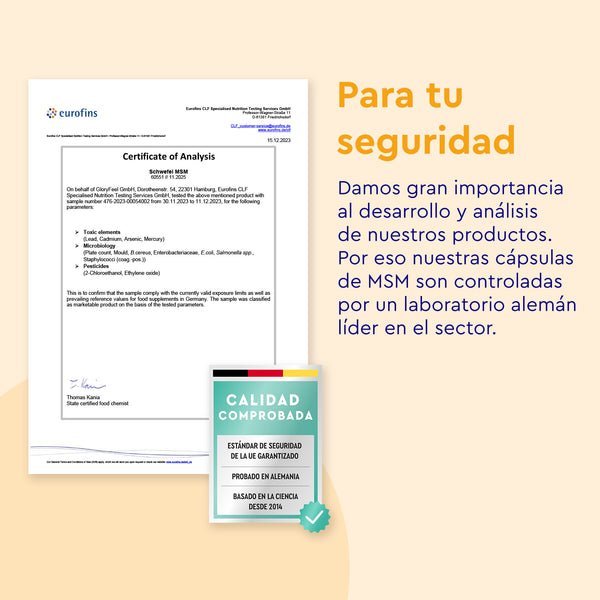 El certificado de análisis y el sello de calidad certificado, en español, enfatizan la importancia de las pruebas realizadas por un laboratorio alemán de primer nivel en el desarrollo de las cápsulas de azufre orgánico MSM de GloryFeel GmbH España, mostrando el papel crucial del colágeno con MSM para una mayor efectividad.