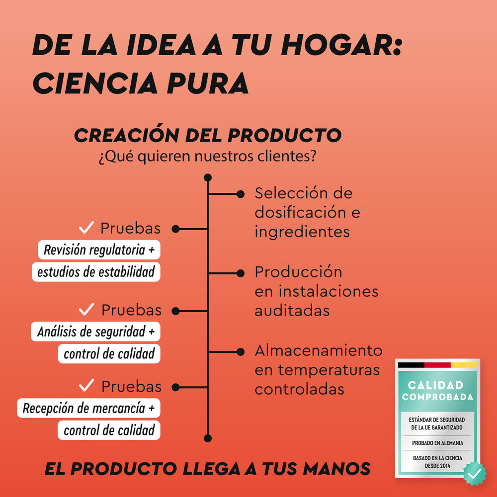 Diagrama de flujo que detalla el desarrollo de Cafeína + L-teanina en tabletas por gloryfeel GmbH España, destacando las revisiones regulatorias, los estudios de estabilidad, el control de calidad y el almacenamiento desde el concepto hasta la entrega.