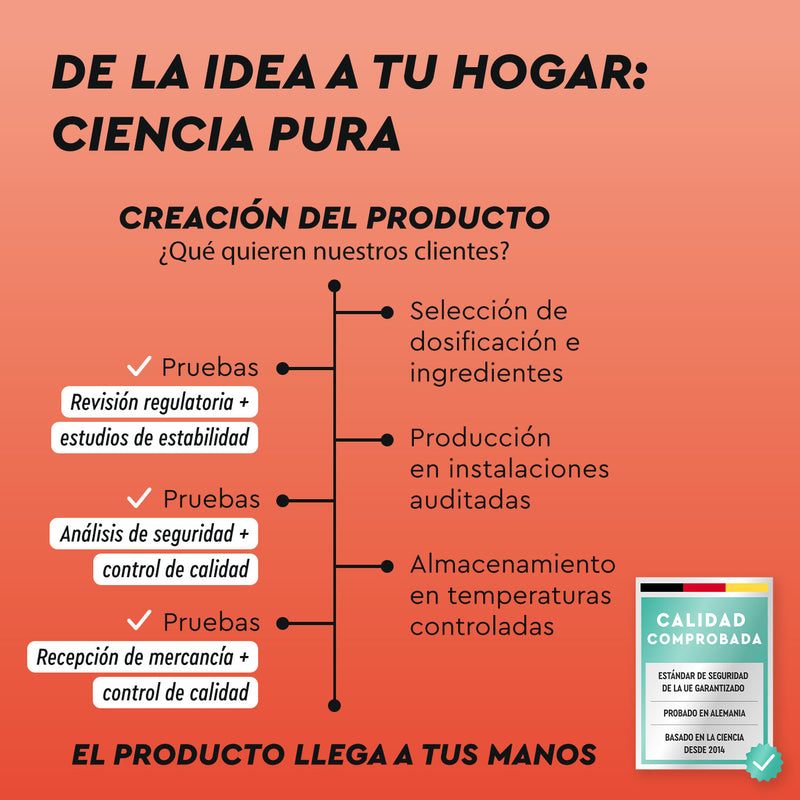 Diagrama de flujo que detalla el desarrollo de Cafeína + L-teanina en tabletas por gloryfeel GmbH España, destacando las revisiones regulatorias, los estudios de estabilidad, el control de calidad y el almacenamiento desde el concepto hasta la entrega.