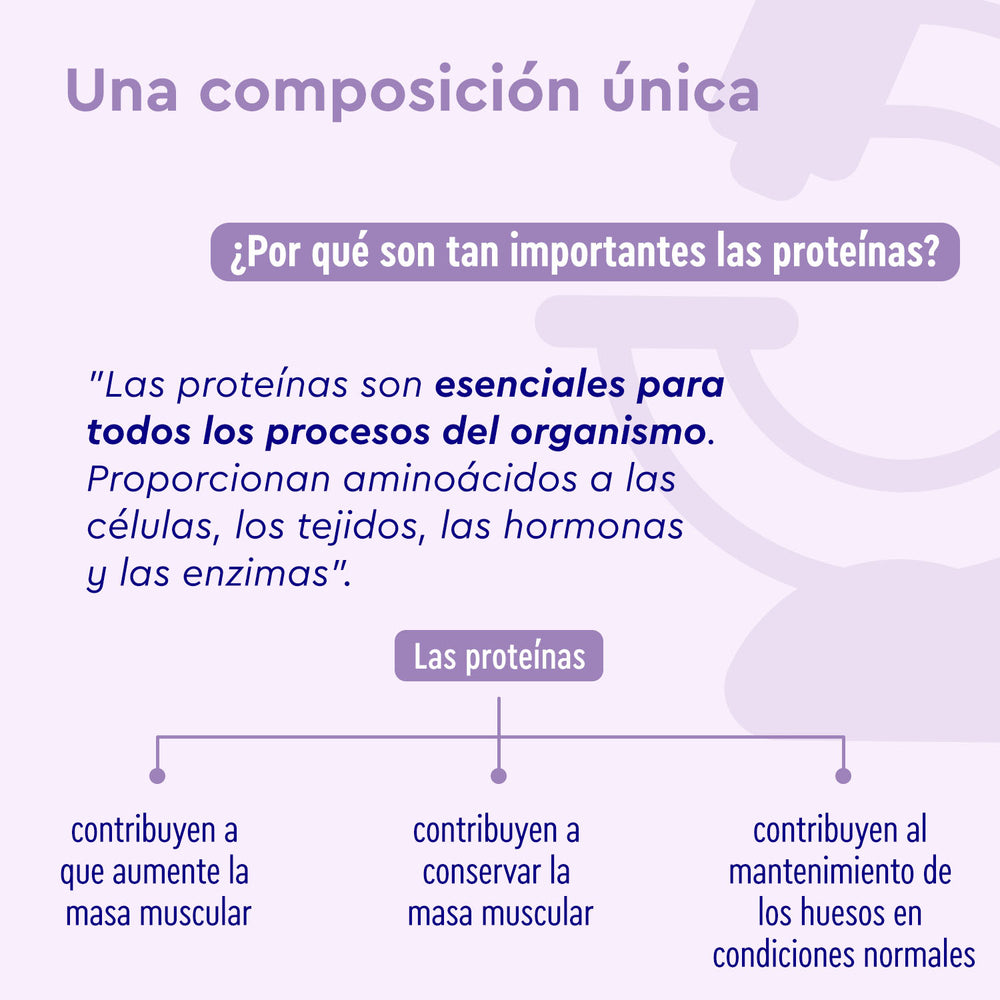 Proteína en polvo vegana