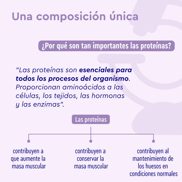 Proteína en polvo vegana