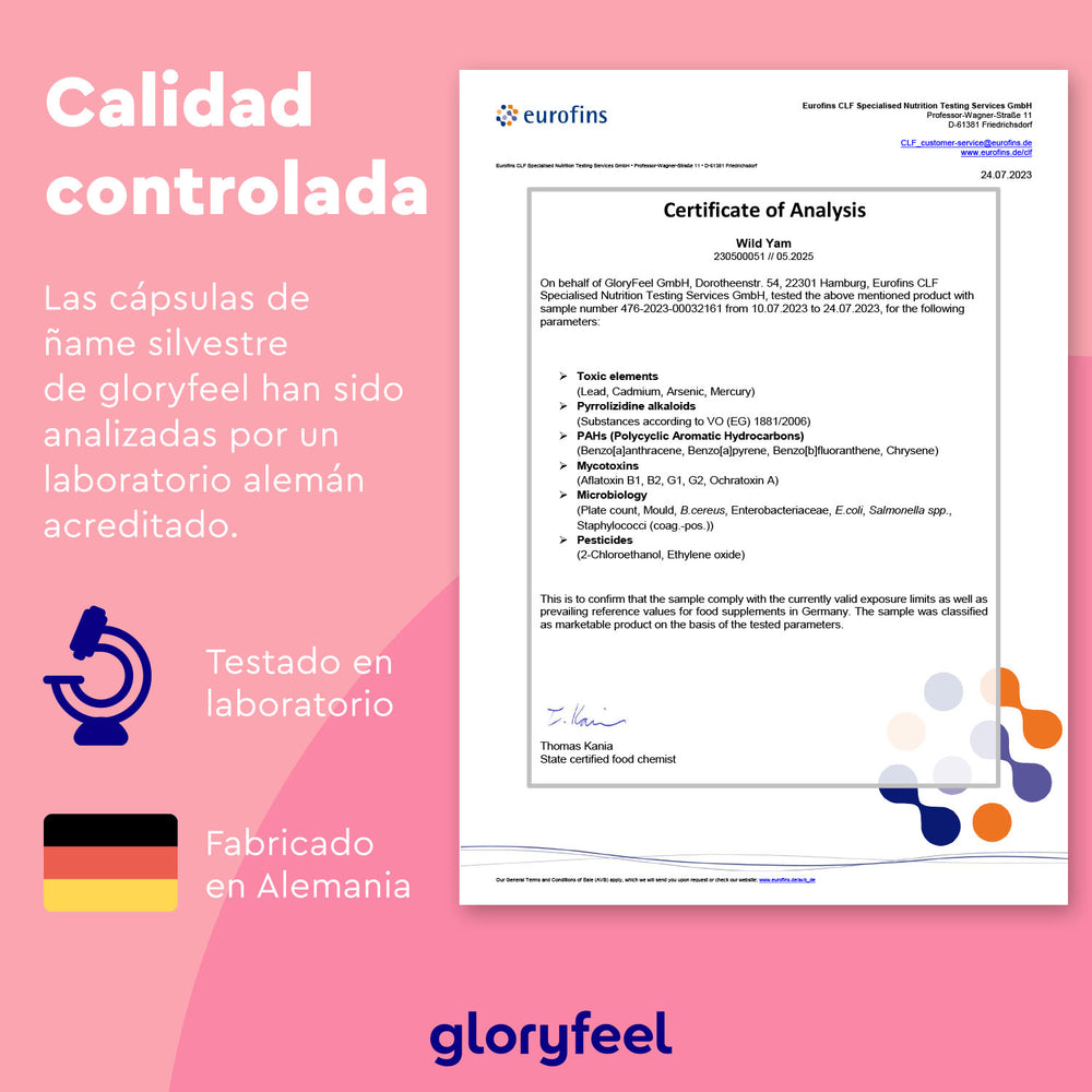 Imagen de un certificado de análisis de ñame silvestre (o raíz de ñame silvestre) en un dispositivo digital. El texto en español destaca las pruebas de laboratorio y la fabricación en Alemania, los iconos decorativos y el logotipo de Gloryfeel GmbH. La mención de Diosgenina resalta la calidad y el origen.