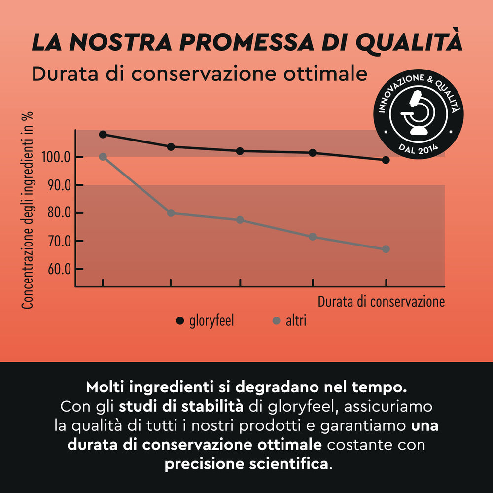 Gráfico que muestra la concentración del ingrediente a lo largo del tiempo para &quot;Beta Alanina en polvo&quot; de gloryfeel GmbH España y otras marcas. Gloryfeel mantiene niveles más altos. A continuación, se explican los estudios de estabilidad y el control de calidad.