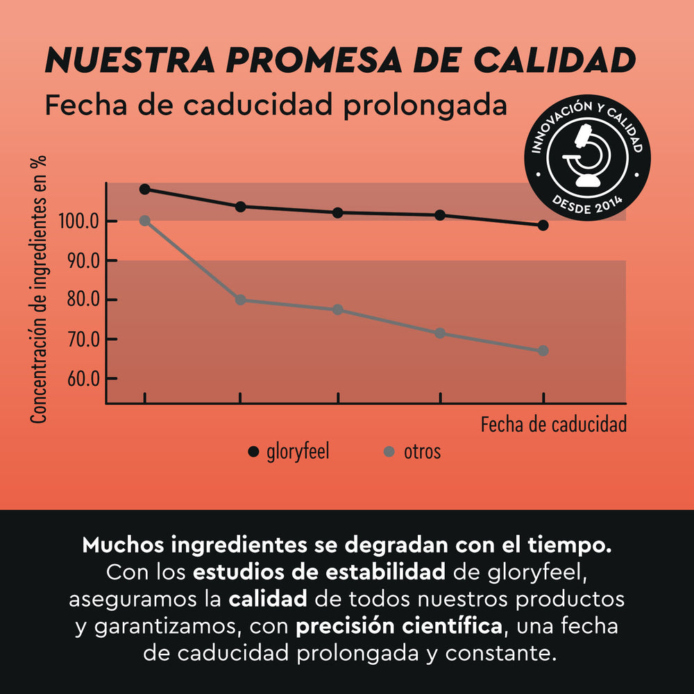 El gráfico que compara la concentración de ingredientes a lo largo del tiempo de &quot;Cafeína + L-teanina en tabletas&quot; de gloryfeel GmbH España con la de otras marcas muestra que Gloryfeel mantiene niveles más altos. El texto analiza la caducidad prolongada del producto y el control de calidad.
