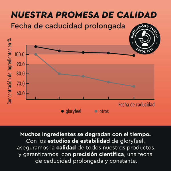 El gráfico que compara la concentración de ingredientes a lo largo del tiempo de &quot;Cafeína + L-teanina en tabletas&quot; de gloryfeel GmbH España con la de otras marcas muestra que Gloryfeel mantiene niveles más altos. El texto analiza la caducidad prolongada del producto y el control de calidad.